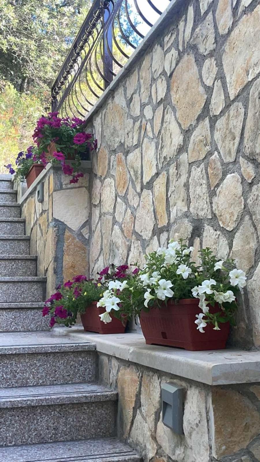 Villa Terra Nostra Hvar Hvar Town Exterior photo